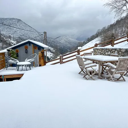 Le Rene-Sens, Chalet 5P Avec Bain Nordique, Piscine Et Vue Pyrenees *