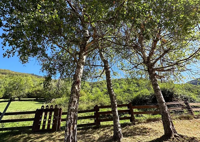 Chalet Le Rene-sens - 5 Pers - Grande Terrasse - Bain Nordique - Piscine *